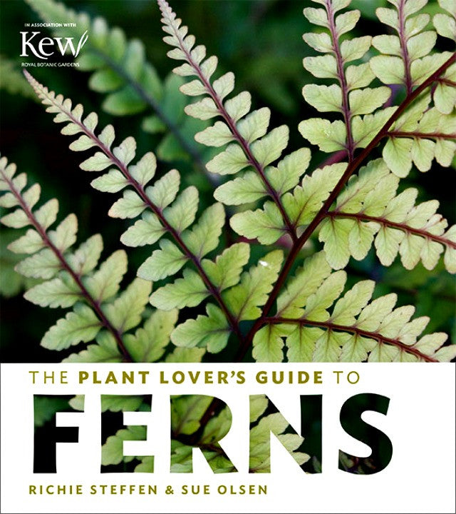 The Plant Lover's Guide to Ferns