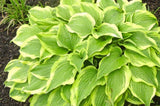 Jen Hosta Courtesy of Randy Goodwin