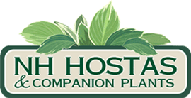 Mulch and Fertilizer Matter To Hostas  NH Hostas