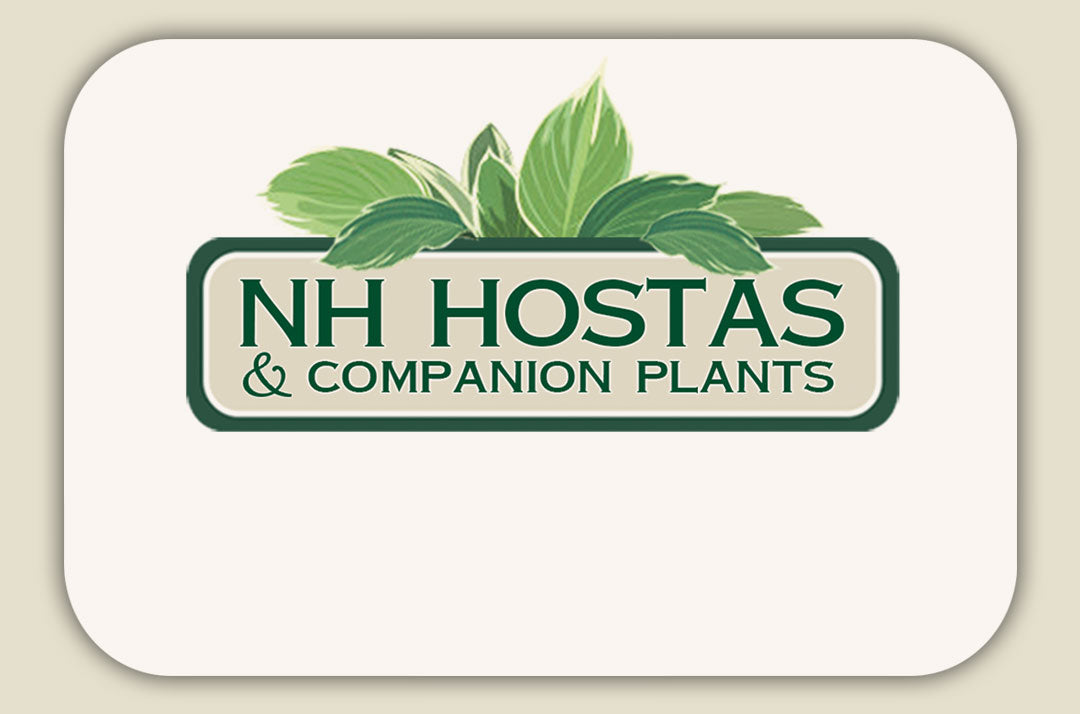 Gift Card – NH Hostas