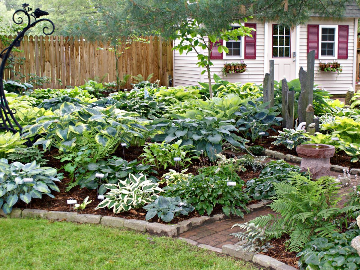 AHS convention garden tour