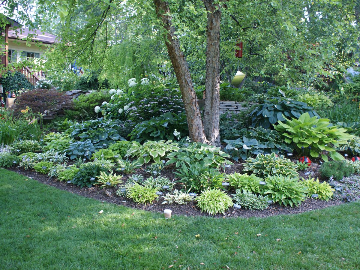 AHS convention garden tour