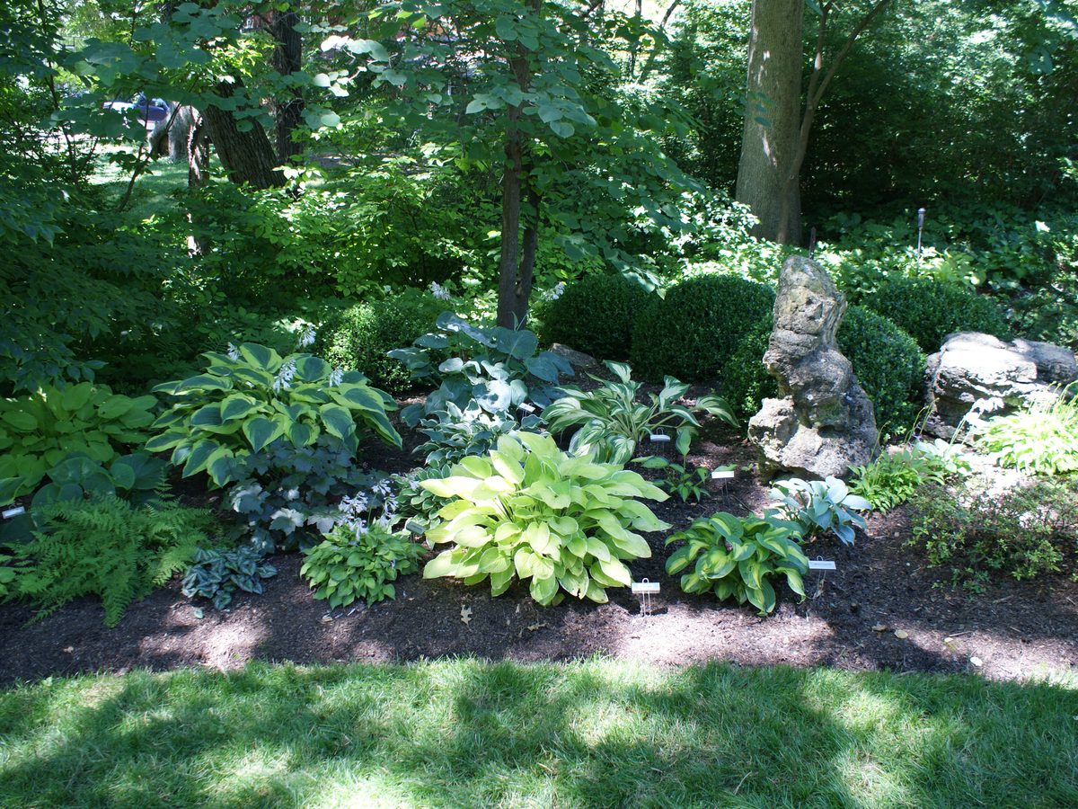 AHS convention garden tour