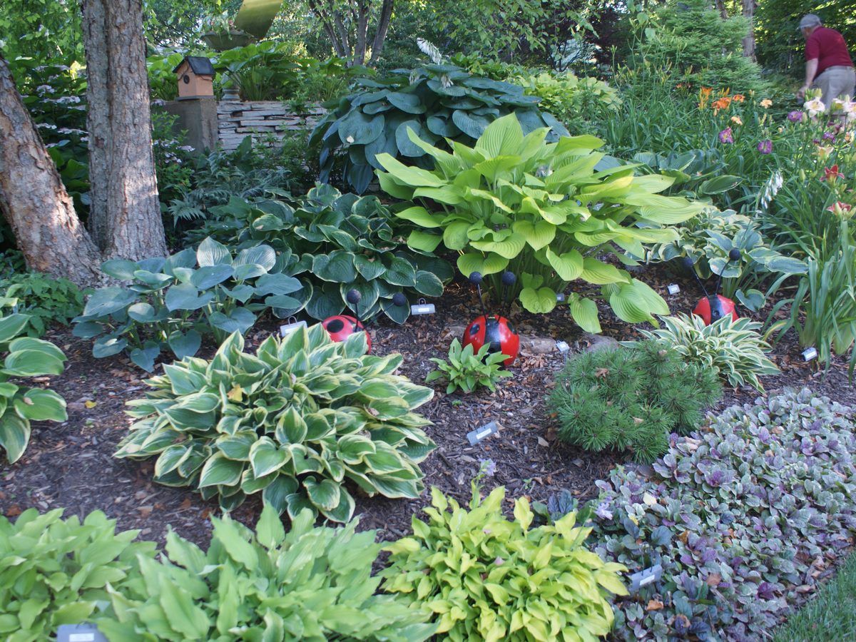 AHS convention garden tour