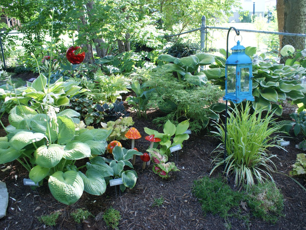 AHS convention garden tour