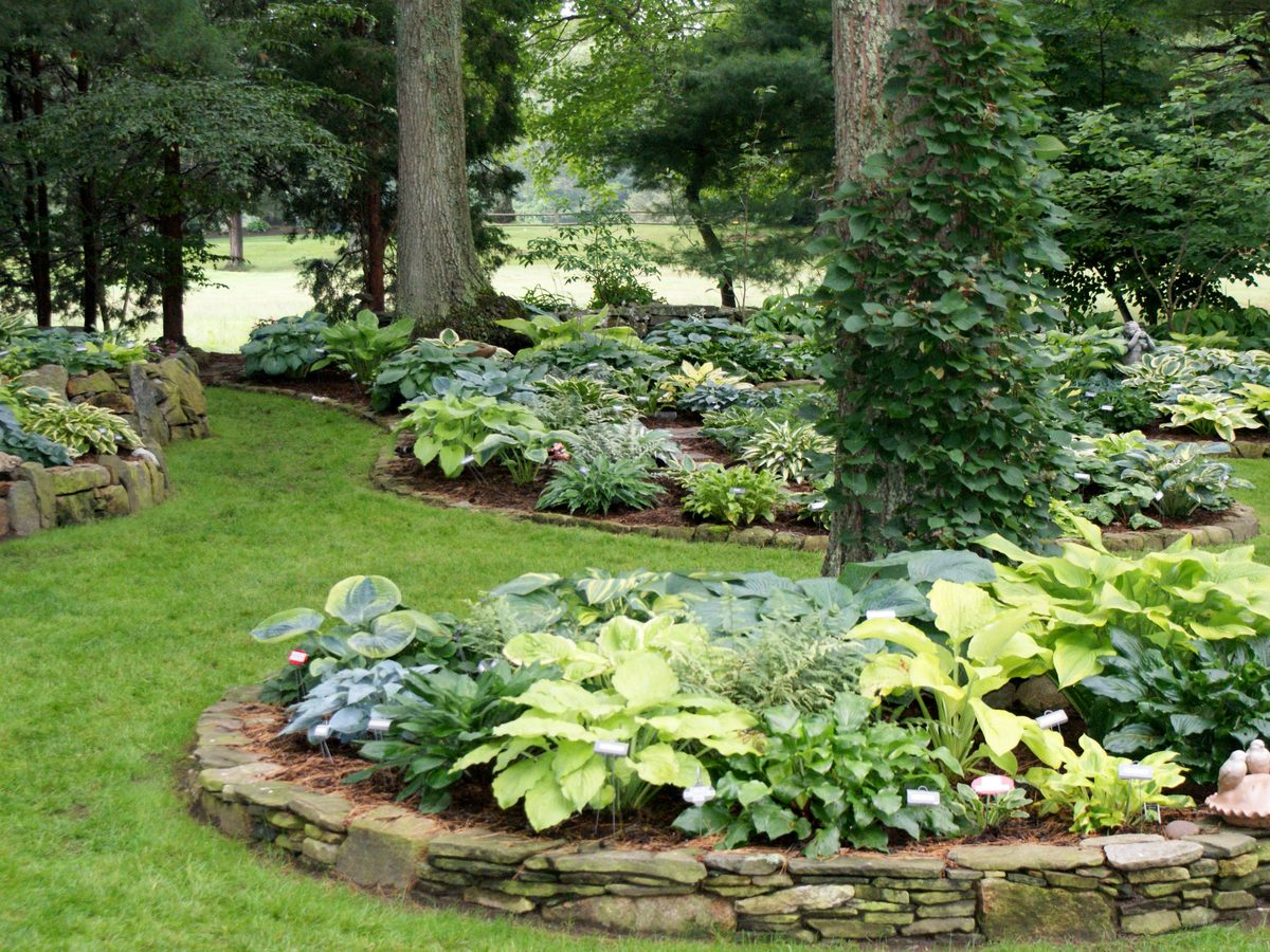 AHS convention garden tour