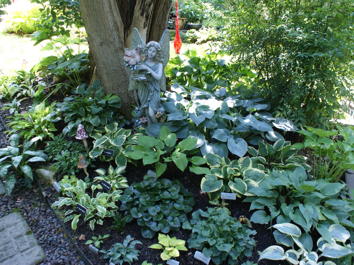 AHS convention garden tour